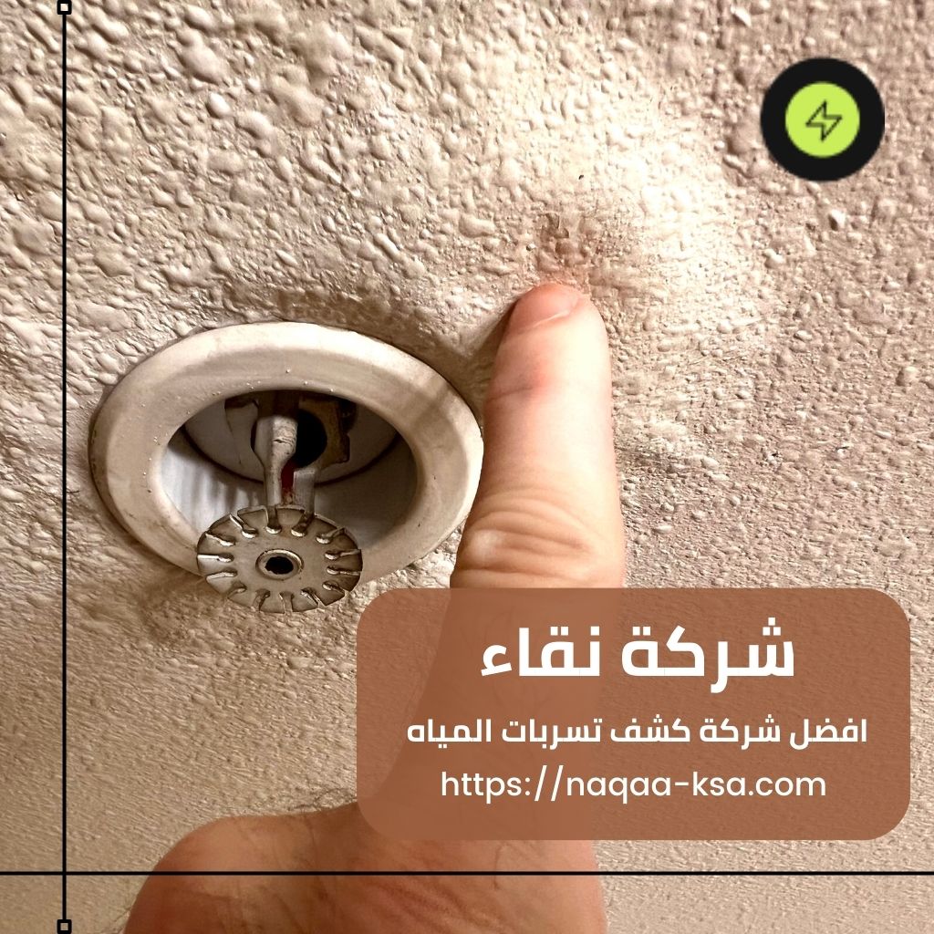 شركة كشف تسربات بالبكيرية