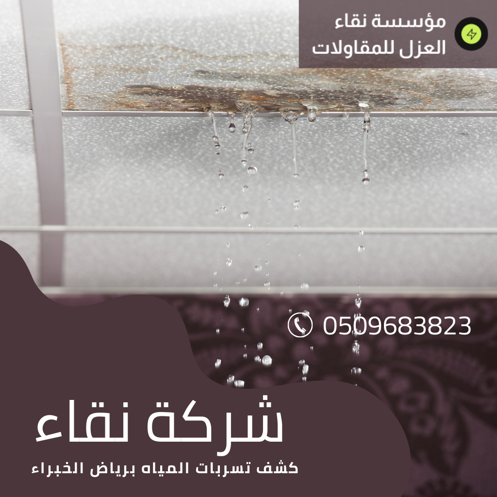 كشف تسربات برياض الخبراء